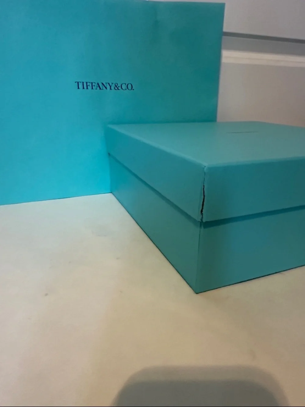 Large Tiffany & Co. Blue Gift Box and Shopping Bag